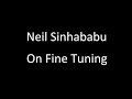 Episode 9, Neil Sinhababu, On Fine Tuning