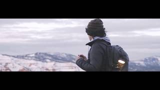 The Torrey Case By Lander