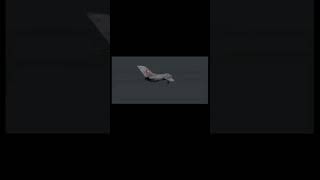 Spinning Mig D Credits To Girlthunder127 On Tiktok