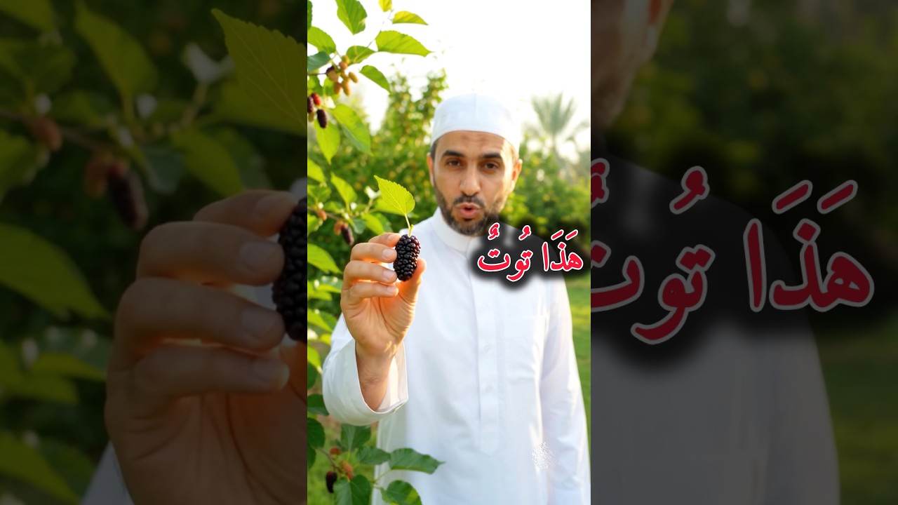 أسماء الفواكه بالعربية | الفواكه في الحديقة | تعلم العربية بسهولة.