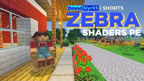 Zebra Shaders PE