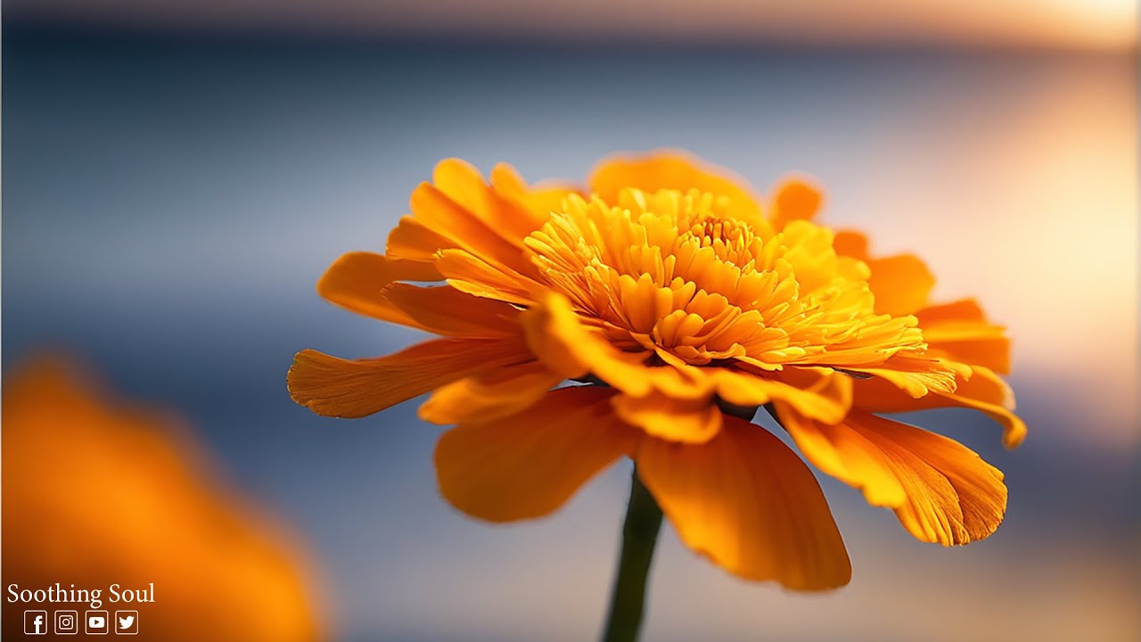 Музыка для души! Эту музыку можно слушать вечно! Лучшие композиции Сергея Грищука