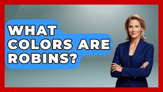 What Colors Are Robins? - Bird Watching Diaries
