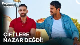 Balayı Bitmeden, Yollar Ayrıldı... - Doğanın Kanunu 11. 