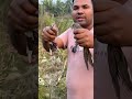 "বিলুপ্তপ্রায় তিলাঘুঘু অবমুক্ত ও উদ্ধার"!#foryou #viral #shorts #birds #birdlovers #birdrescue