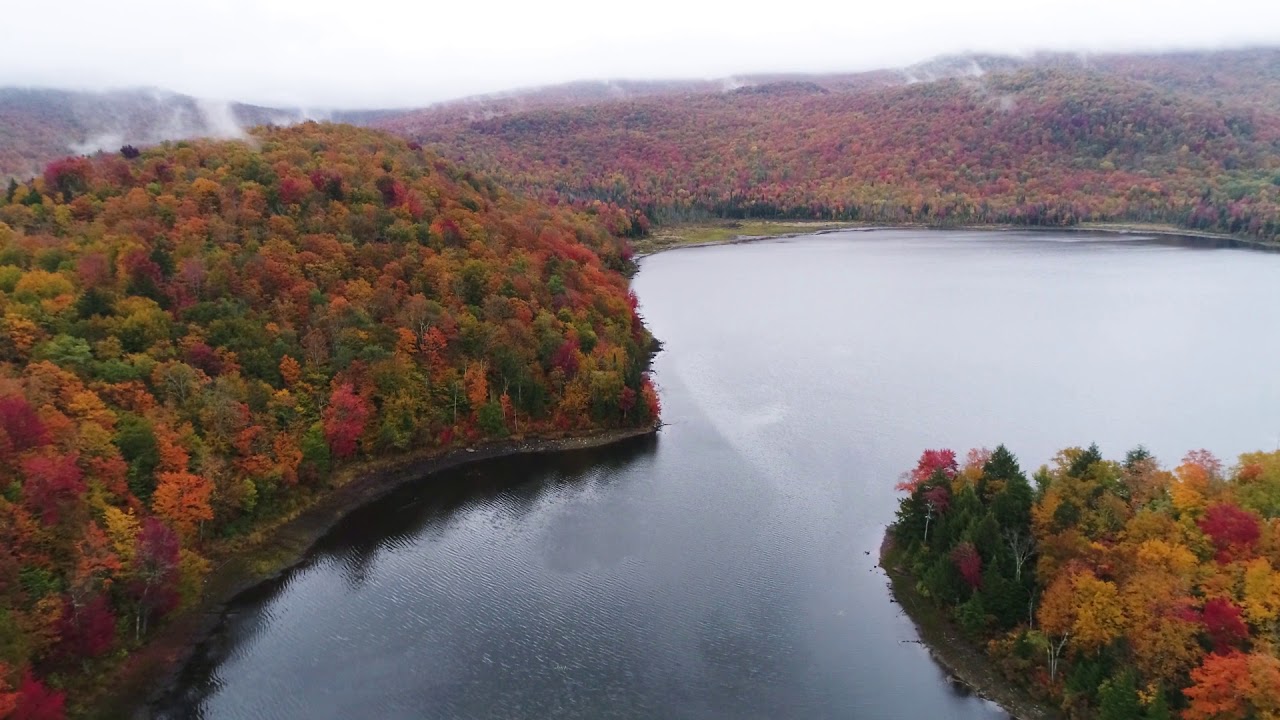 Foliage at Belvidere Pond YouTube