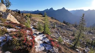 The Colors Are Starting! 🍁 Maple Pass Fall Color Update | September 7, 2026