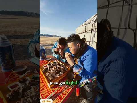 أبى عباطة رجع من قرغيزستان   كوميديات اكسبلور اكلتك منغوليا اكل تحشي