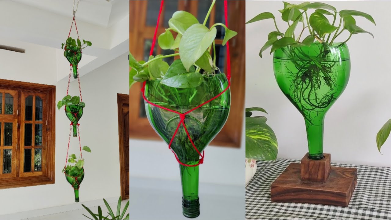 How To Hang Glass Bottles At Home Hanging Plant Ideas Hanging Glass how-to-hang-glass-bottles-at-home-hanging-plant-ideas-hanging-glass