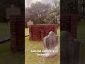 Exploring Savannah's Colonial Cemetery: Tales from the Past🪦 #pickinntripin