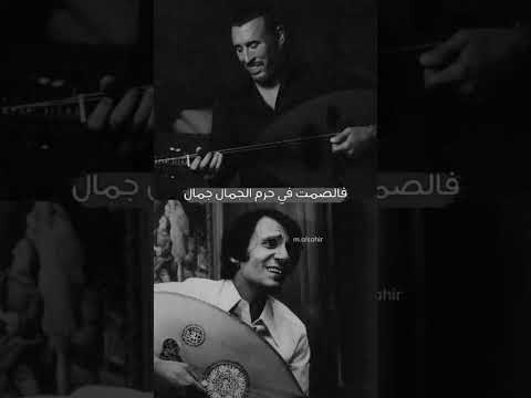 عبدالحليم حافظ كاضم الساهر وفي عز الكلام سكت الكلام 