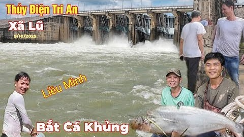 Kinh Hoàng Hồ Thủy Điện Trị An Xã Lũ người dân liều mình săn bắt cá khủng 