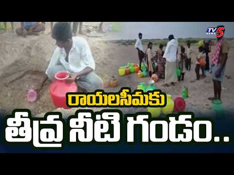 డ్యామ్‌లలో అడుగంటిన నీటి నిల్వలు..Srisailam & TB Dam Water Crisis | TV5 News - TV5NEWS
