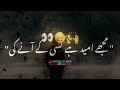 Kafan Na Dalo Meri Lash Per WhatsApp Shayari Status Urdu Status Alone Status Kafan Na Dalo Meri Lash Per WhatsApp Shayari Status Urdu Status Alone Status
