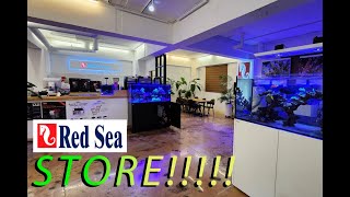 Red Sea Aquariums STORE ! WHAT?! by Fragbox Corals 7,043 views 1 month ago 9 minutes, 17 seconds