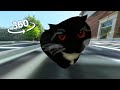 360° VR Maxwell The Cat  TOCA LOCA TOCA