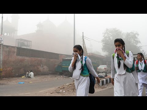 Video: In che modo lo smog è dannoso?