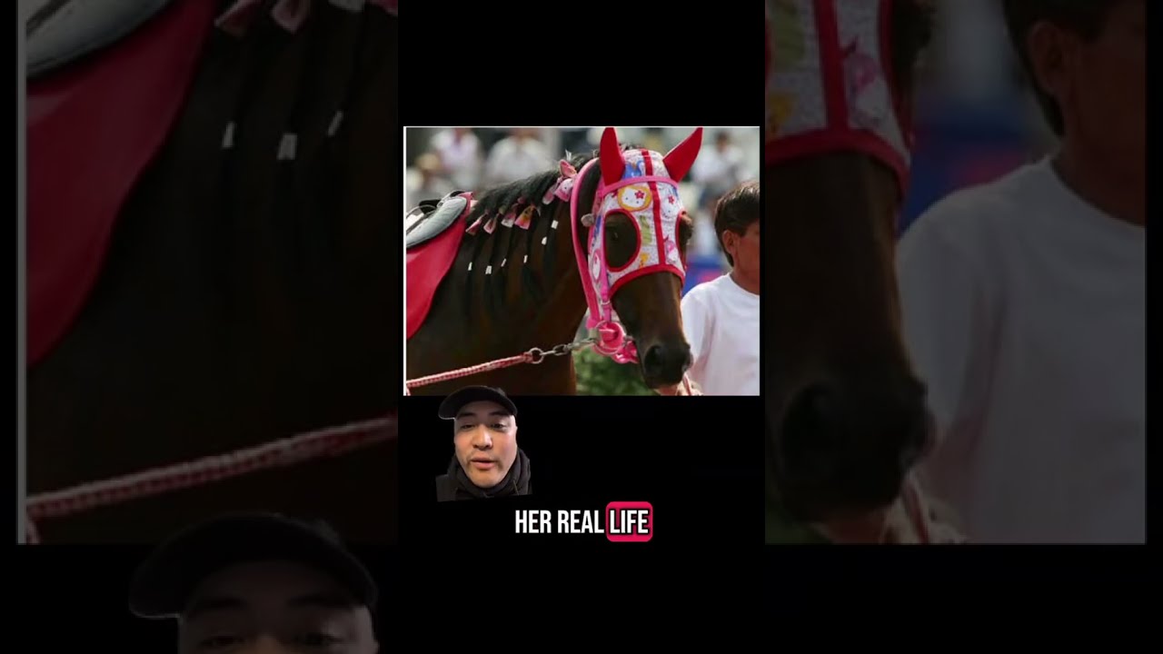 This Horse Girl Lost 113 Races And Became A National Icon Haru Urara Inspirational Story 