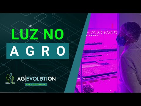 Uso de luz artificial na produção | Boletim AgEvolution