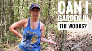 OFF GRID Forest Gardening  Pure Back To Eden