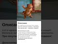 Купи кота — получи квартиру в подарок 🎁