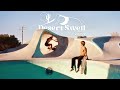 Desert swell  carver skateboards