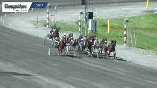 Vidéo de la course PMU PRIX LOPP 7