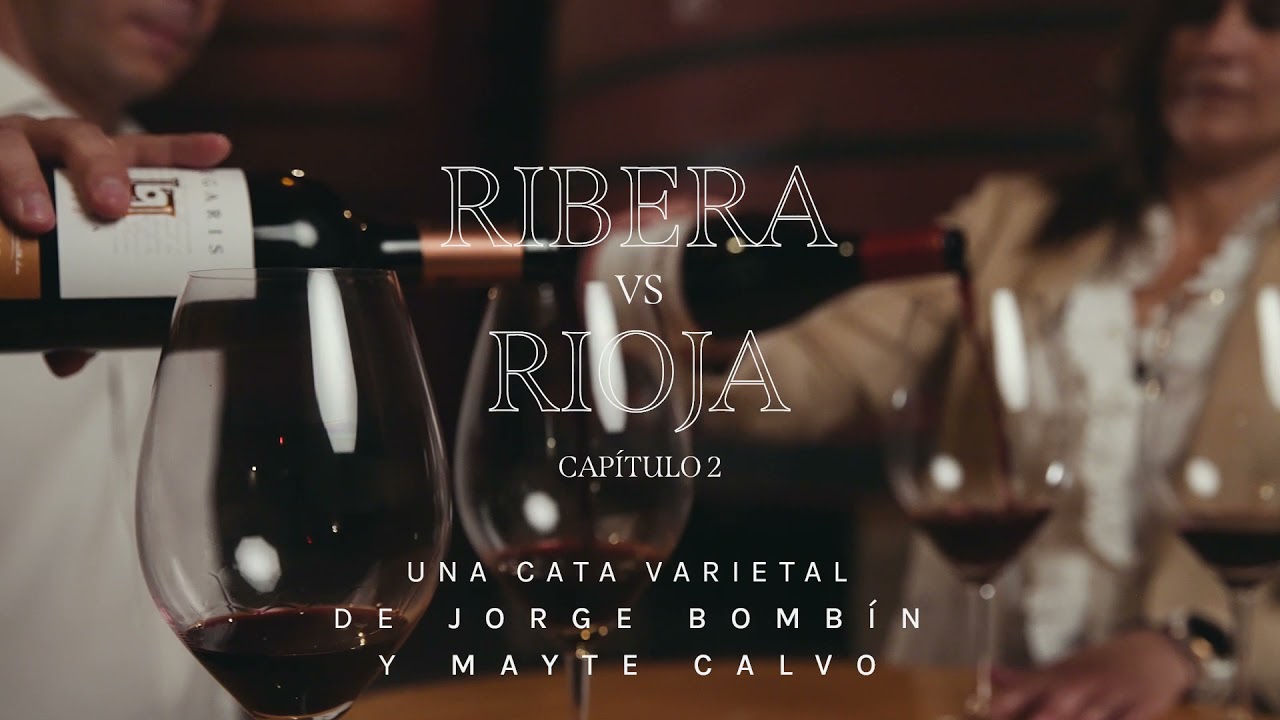 Descubre la videocata Ribera vs. Rioja  - 2 │ Por Jorge Bombín y Mayte Calvo de la Banda