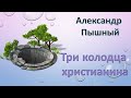 Александр Пышный - Три колодца христианина