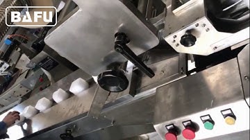 flow wrapper | pillow packaging machine | horizontal packaging machine | flow-pack machine