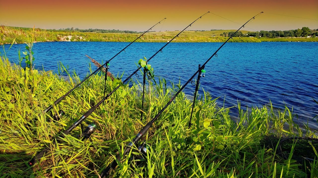 Tips & Tricks for Carp Fishing in Summer HEAT! YouTube