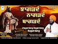 Jhagardang nagardang bagardang  guru gobind singh ji  bhai gurjant singh khalsa  asees records