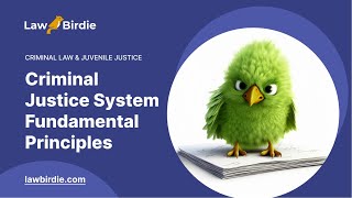 Criminal Justice System Fundamental Principles - Essay Example