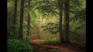 Debussy - Reverie