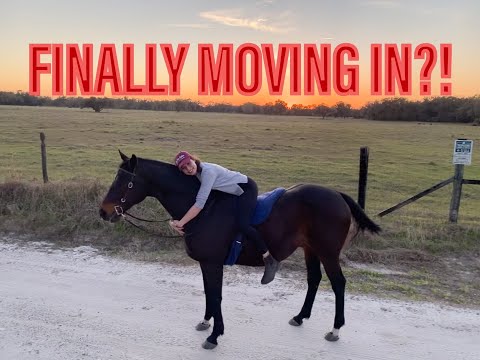 BARN UPDATE On My New HORSE PROPERTY! | PART 7
