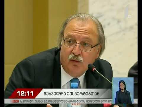 გრიგოლ ვაშაძე ექსპერტებს ხვდება