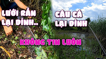 Lần đầu mới thấy lưới rắn mà dính thứ này | câu cá lóc | thuytrieuxoay189