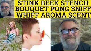 🔵Vivid Smells - Stink Meaning Reek Pong Stench Whiff Sniff Bouquet Aroma Scent Perfume Meaning