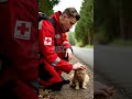 Rescued Cat Healing After Terrible Injury #CatRescue  #InjuredCat  #AnimalRescue  #shorts #ytshorts