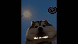 Download Lagu What About Me / Lofi + Lyrics + Remix + TikTok MP3