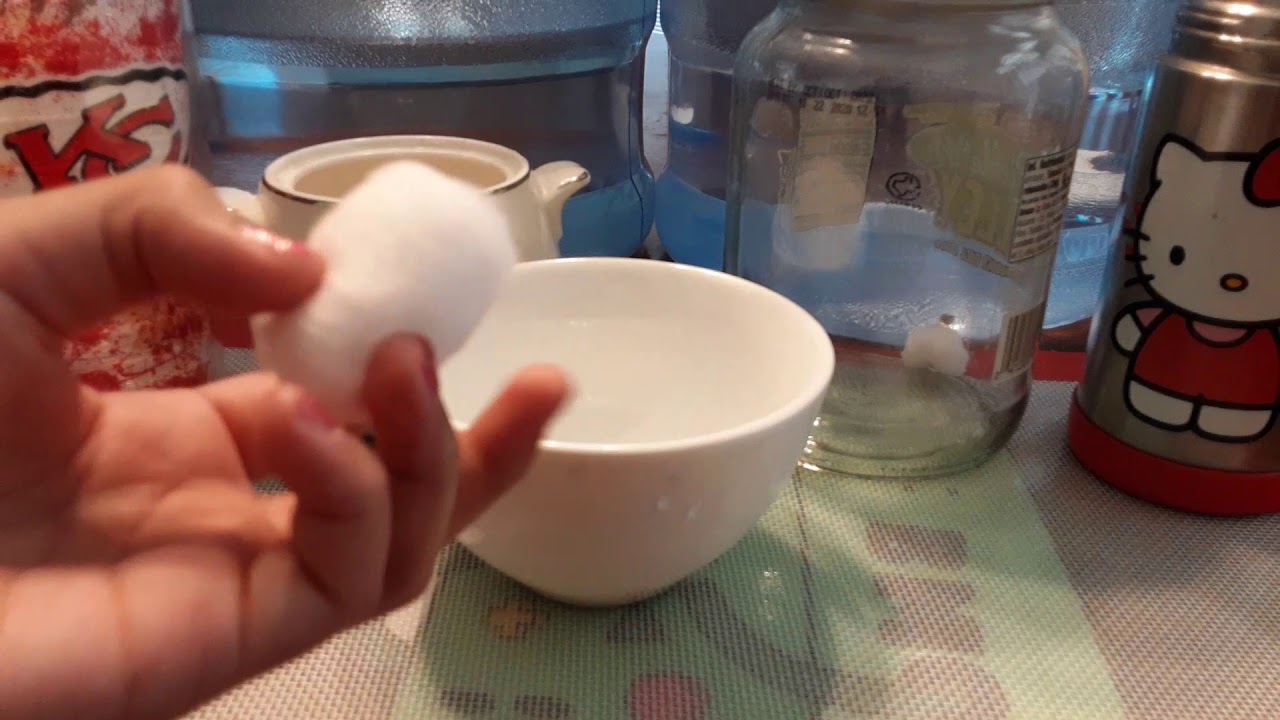 How to make food for your  Fruit Fly (Sterile for insect control)