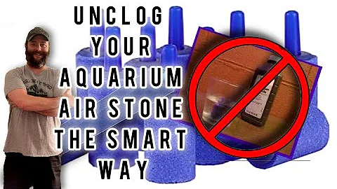 Unclog Your Aquarium Air stone: The correct way. #aquariumhobby