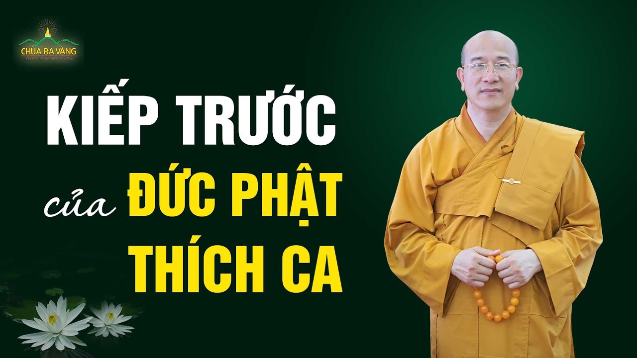 Trong các kiếp trước, Đức Phật Thích Ca là ai? | Thầy Thích Trúc Thái Minh