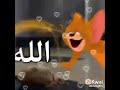 ايه يا خبتو انا