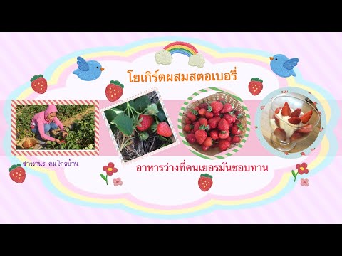 ผลสลากกินแบ่งรัฐบาล วันที่ 1 พย. 2567