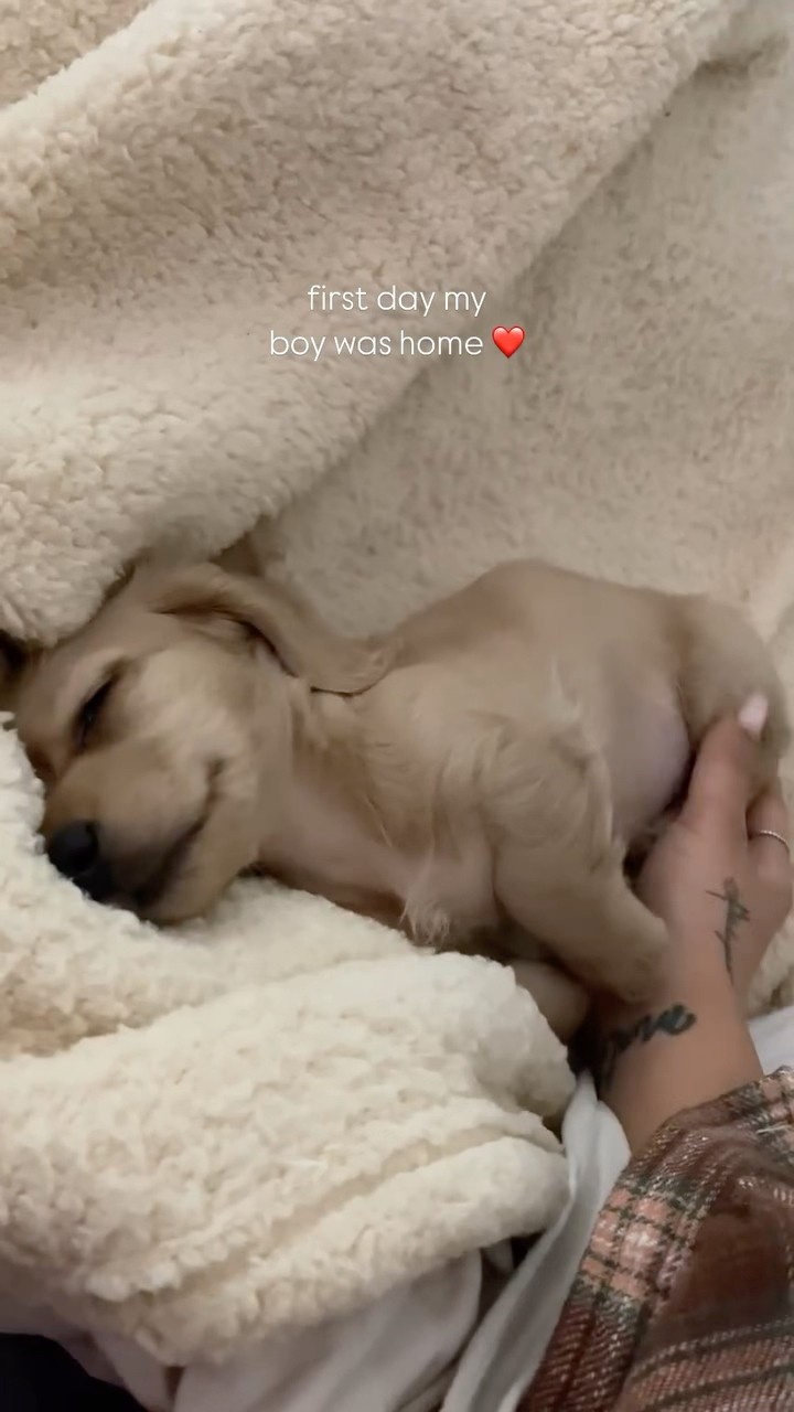 #JasonDeruloTV // Puppy ?? #GotPermissionToPost From IG @montethedoxie #FromTheIslands