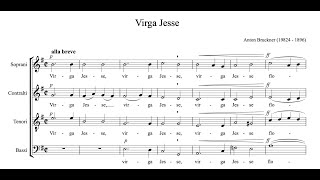 Anton Bruckner - Virga Jesse