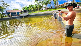 PASSEI A REDE NA REPRESA DA FAZENDA E PEGUEI TODOS OS PEIXES