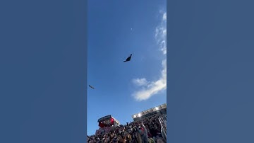 Thumbnail of #rosebowl #rosebowlgame #roseparade #usaf #b2 #b2spirit #avgeek #aviation #militaryaircraft
