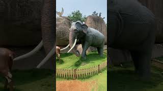 Virtual Park #shorts #shortvideo #short #ytshorts #ytshort #trending #trendingshorts #like #k #love